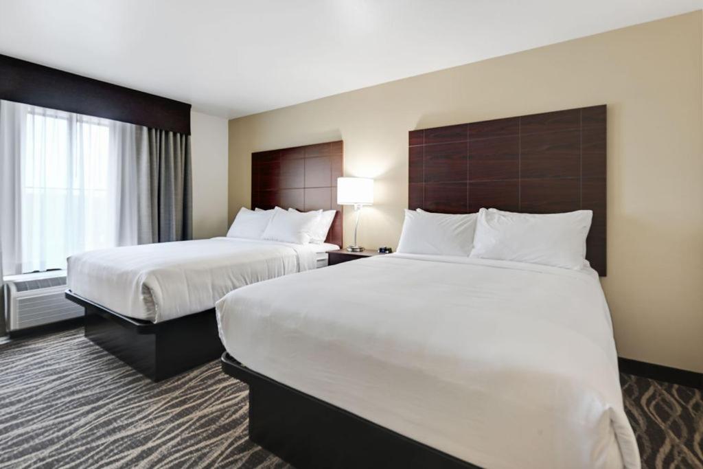 Cobblestone Hotel & Suites - Mosinee 外观 照片