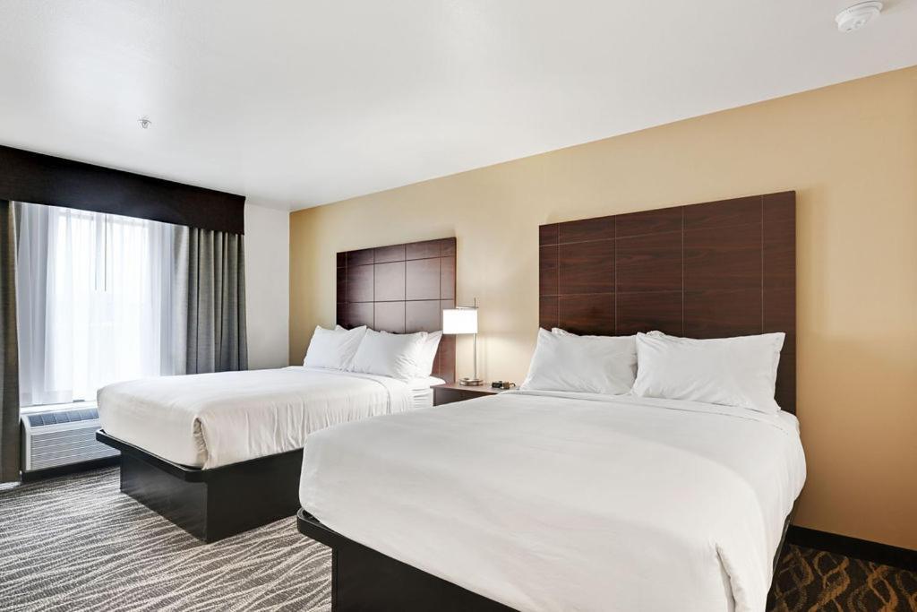 Cobblestone Hotel & Suites - Mosinee 外观 照片